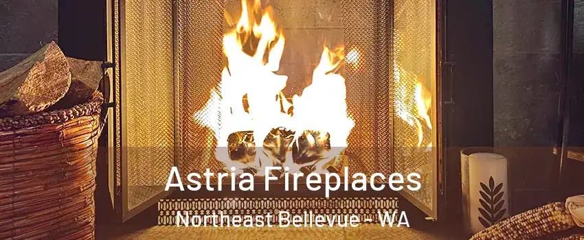 Astria Fireplaces Northeast Bellevue - WA