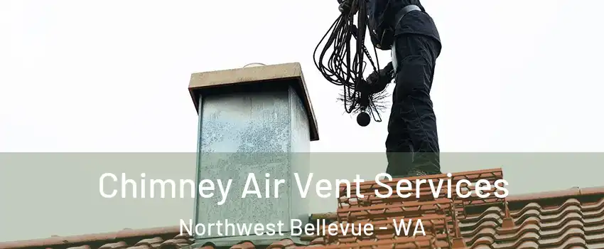 Chimney Air Vent Services Northwest Bellevue - WA