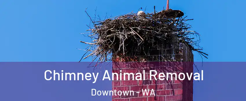 Chimney Animal Removal Downtown - WA