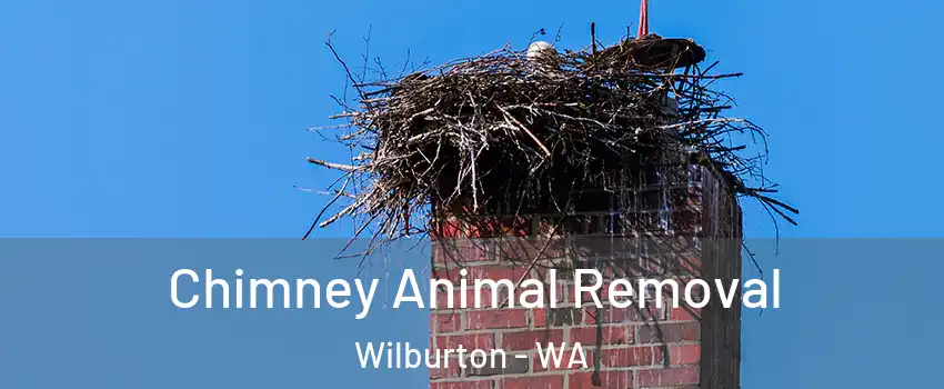 Chimney Animal Removal Wilburton - WA