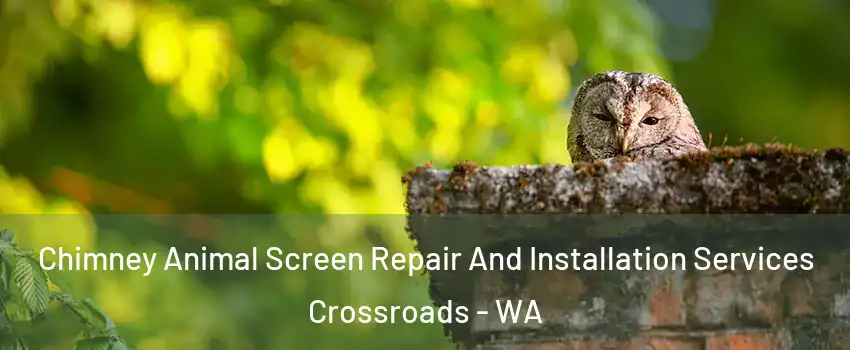 Chimney Animal Screen Repair And Installation Services Crossroads - WA