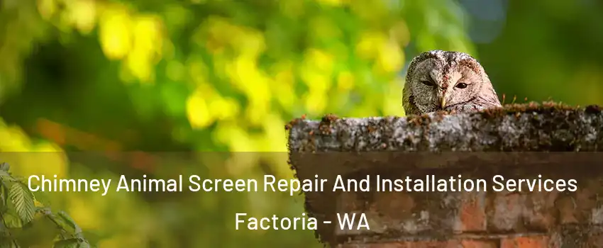 Chimney Animal Screen Repair And Installation Services Factoria - WA