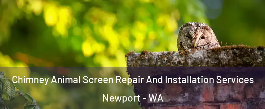 Chimney Animal Screen Repair And Installation Services Newport - WA