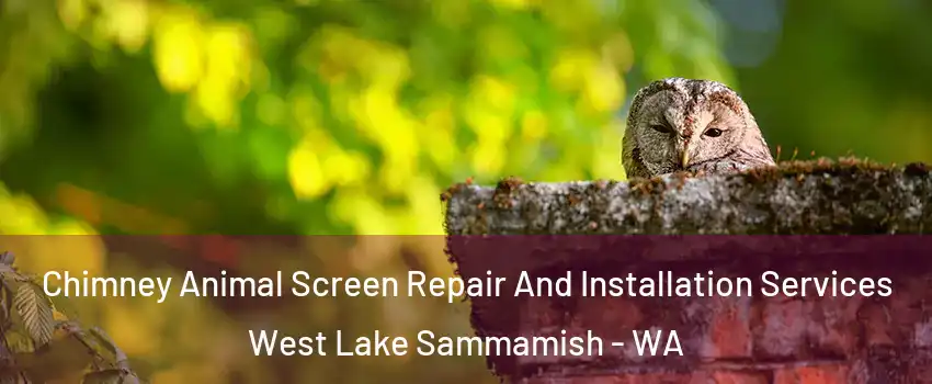Chimney Animal Screen Repair And Installation Services West Lake Sammamish - WA