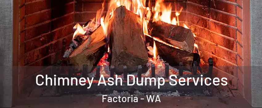 Chimney Ash Dump Services Factoria - WA