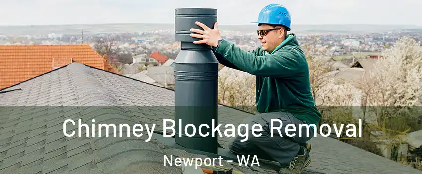 Chimney Blockage Removal Newport - WA