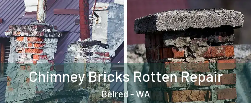 Chimney Bricks Rotten Repair Belred - WA