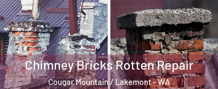 Chimney Bricks Rotten Repair Cougar Mountain / Lakemont - WA