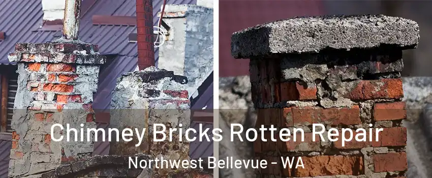 Chimney Bricks Rotten Repair Northwest Bellevue - WA