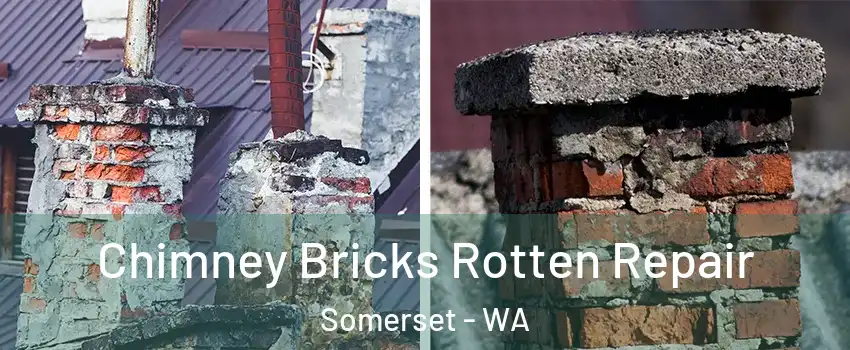 Chimney Bricks Rotten Repair Somerset - WA