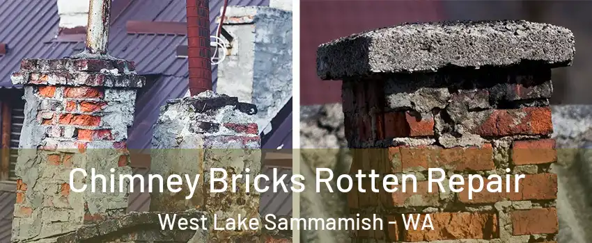Chimney Bricks Rotten Repair West Lake Sammamish - WA