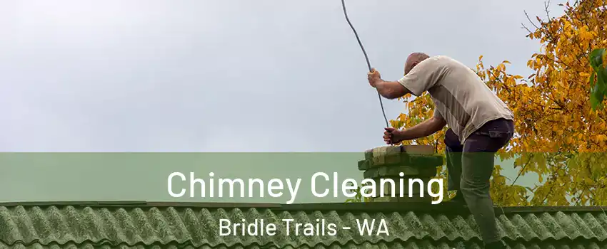 Chimney Cleaning Bridle Trails - WA