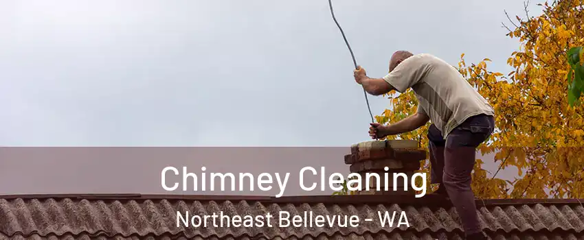 Chimney Cleaning Northeast Bellevue - WA