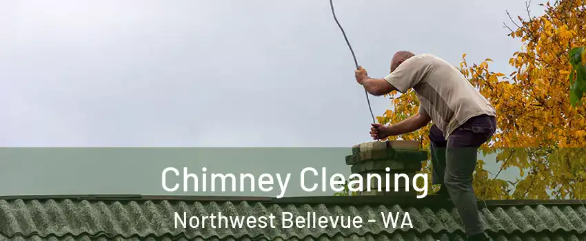 Chimney Cleaning Northwest Bellevue - WA
