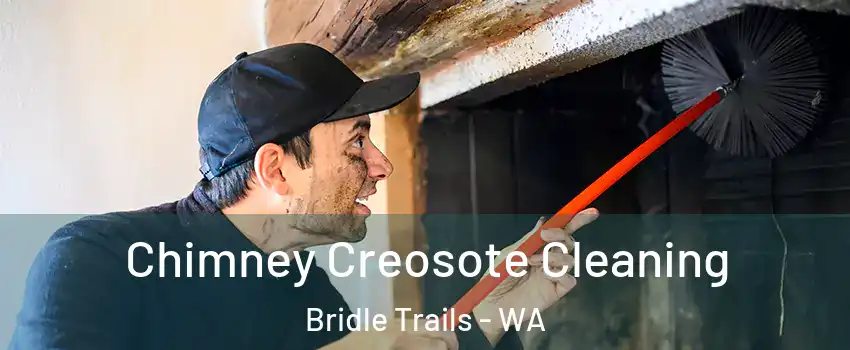 Chimney Creosote Cleaning Bridle Trails - WA