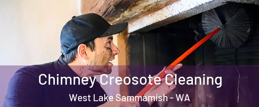 Chimney Creosote Cleaning West Lake Sammamish - WA