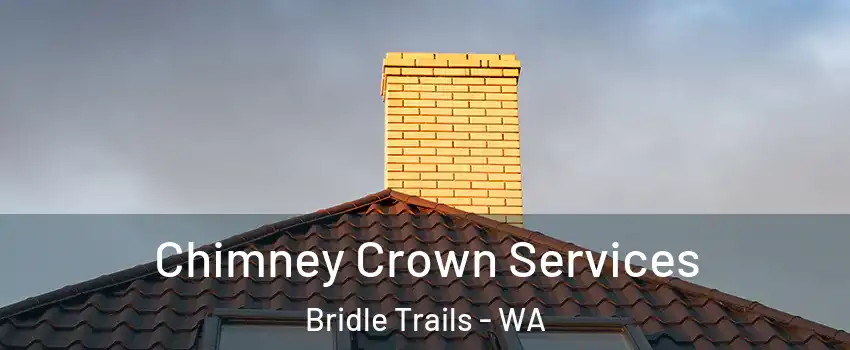 Chimney Crown Services Bridle Trails - WA