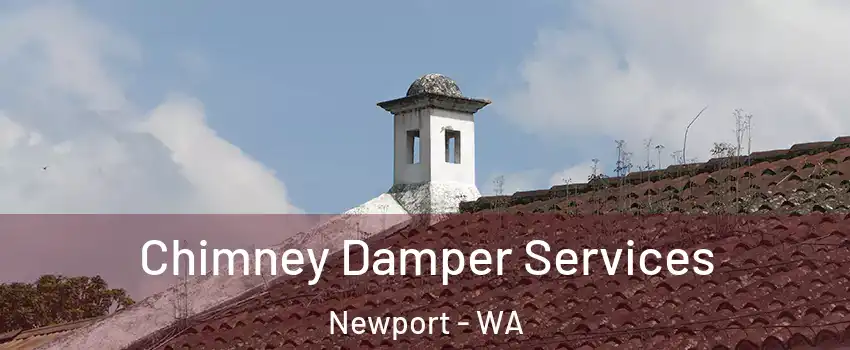 Chimney Damper Services Newport - WA