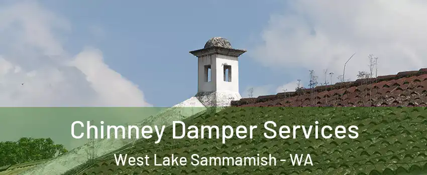 Chimney Damper Services West Lake Sammamish - WA