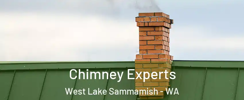 Chimney Experts West Lake Sammamish - WA