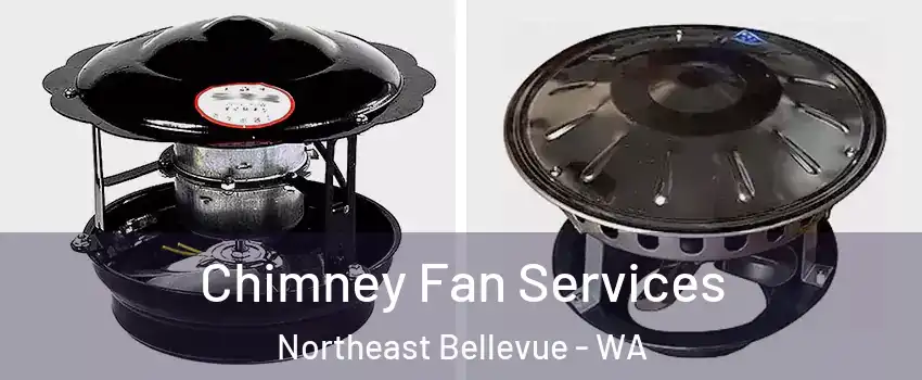 Chimney Fan Services Northeast Bellevue - WA