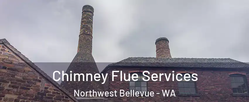 Chimney Flue Services Northwest Bellevue - WA