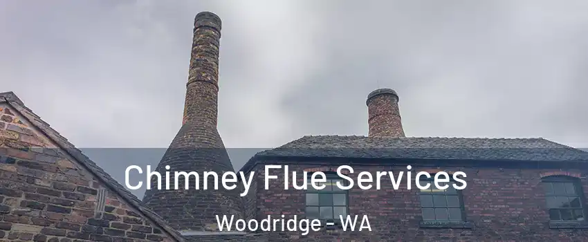 Chimney Flue Services Woodridge - WA