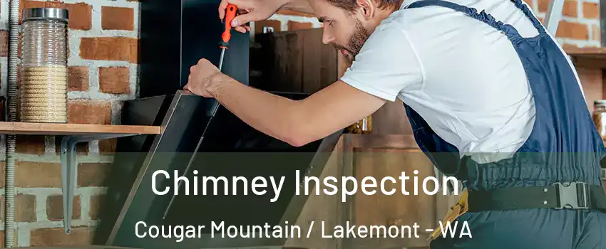 Chimney Inspection Cougar Mountain / Lakemont - WA