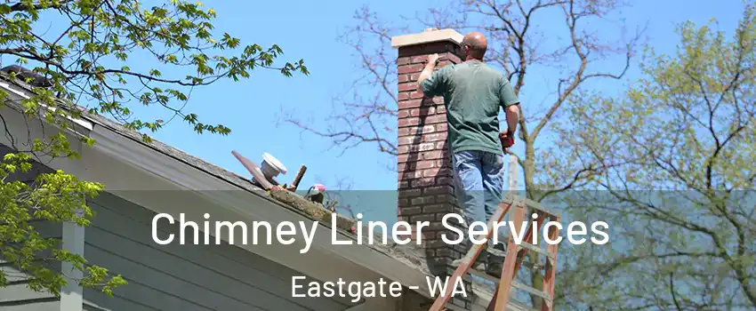 Chimney Liner Services Eastgate - WA