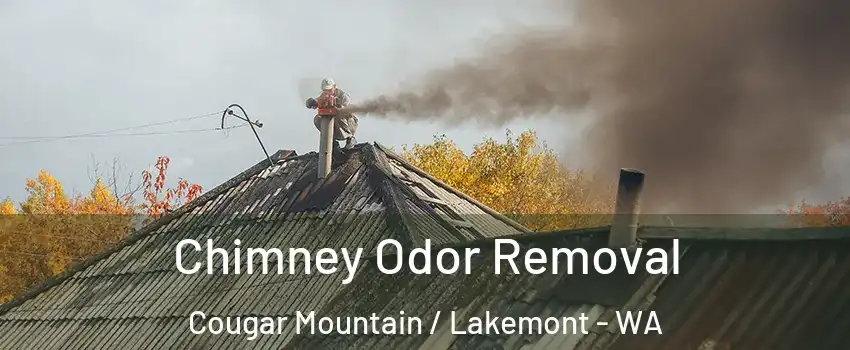 Chimney Odor Removal Cougar Mountain / Lakemont - WA