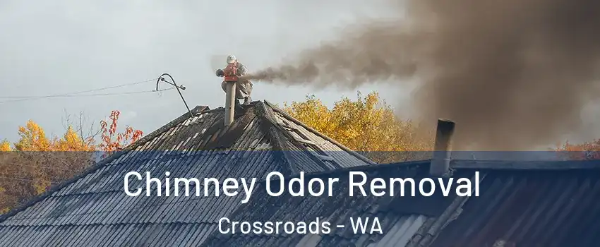 Chimney Odor Removal Crossroads - WA