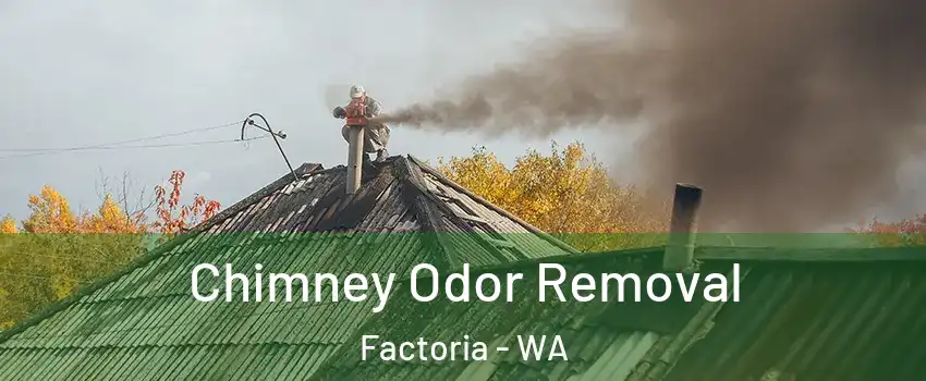 Chimney Odor Removal Factoria - WA