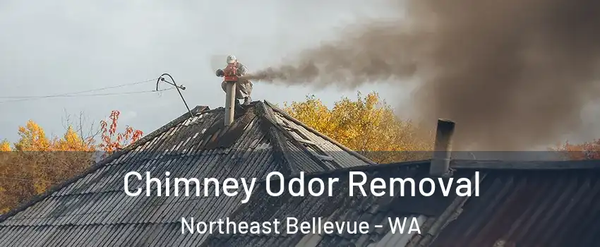 Chimney Odor Removal Northeast Bellevue - WA