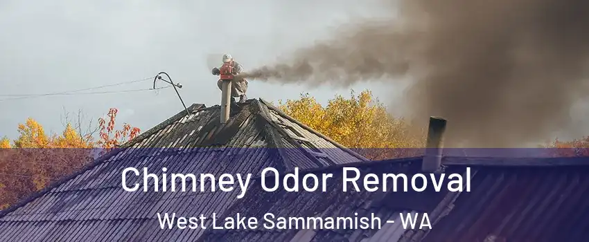 Chimney Odor Removal West Lake Sammamish - WA