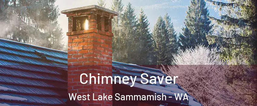 Chimney Saver West Lake Sammamish - WA
