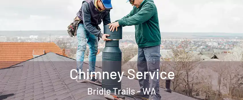 Chimney Service Bridle Trails - WA