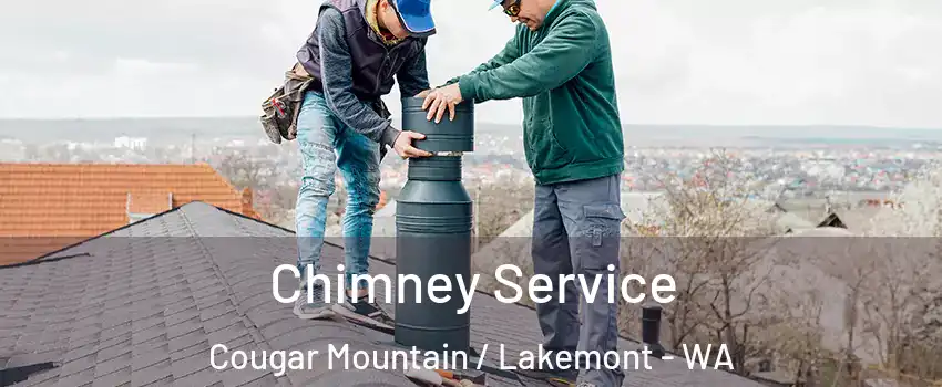 Chimney Service Cougar Mountain / Lakemont - WA