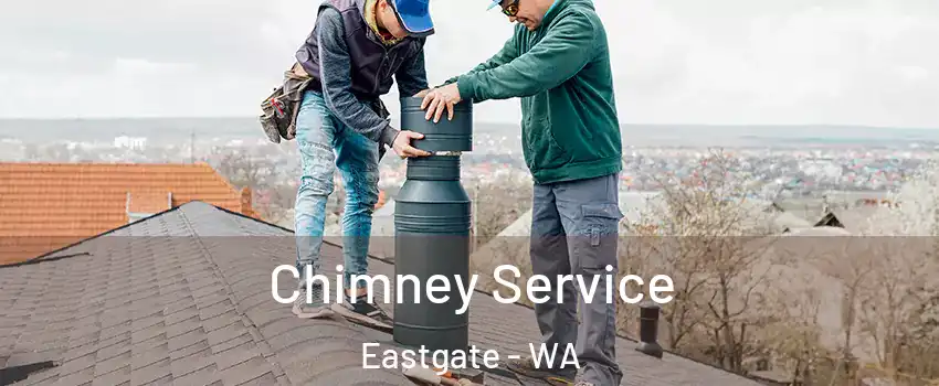 Chimney Service Eastgate - WA