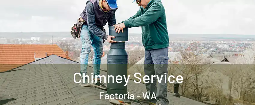 Chimney Service Factoria - WA