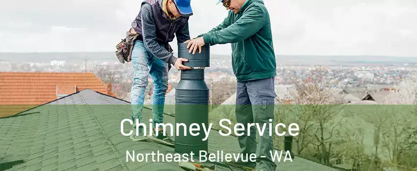 Chimney Service Northeast Bellevue - WA
