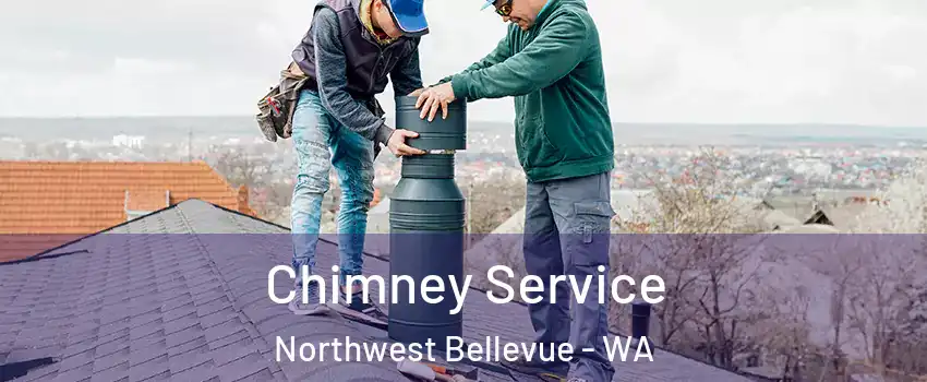 Chimney Service Northwest Bellevue - WA
