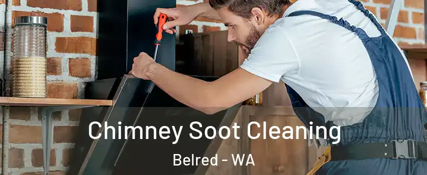 Chimney Soot Cleaning Belred - WA