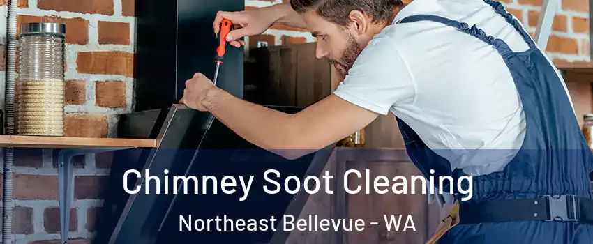 Chimney Soot Cleaning Northeast Bellevue - WA