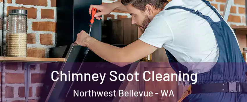 Chimney Soot Cleaning Northwest Bellevue - WA