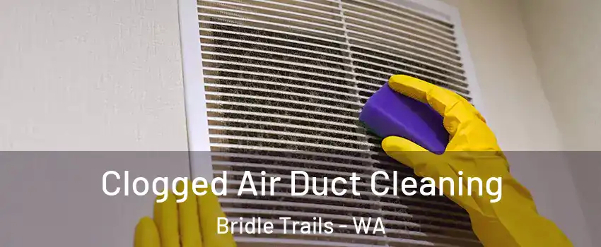 Clogged Air Duct Cleaning Bridle Trails - WA