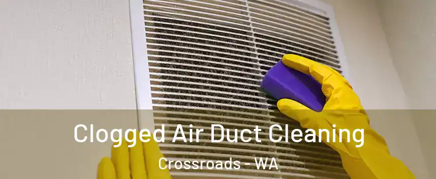 Clogged Air Duct Cleaning Crossroads - WA