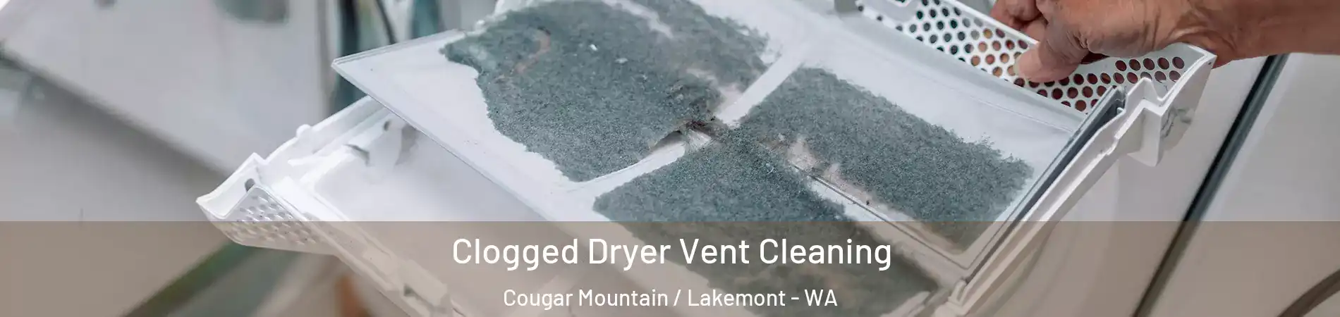 Clogged Dryer Vent Cleaning Cougar Mountain / Lakemont - WA