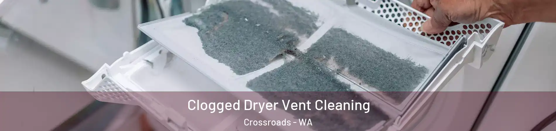 Clogged Dryer Vent Cleaning Crossroads - WA