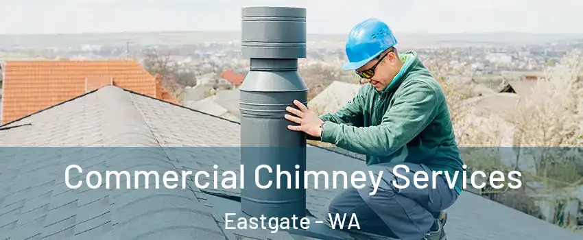 Commercial Chimney Services Eastgate - WA