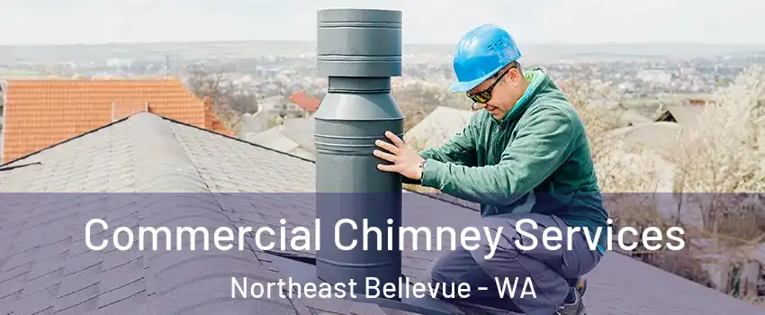 Commercial Chimney Services Northeast Bellevue - WA